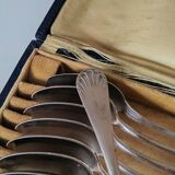 12 old spoons