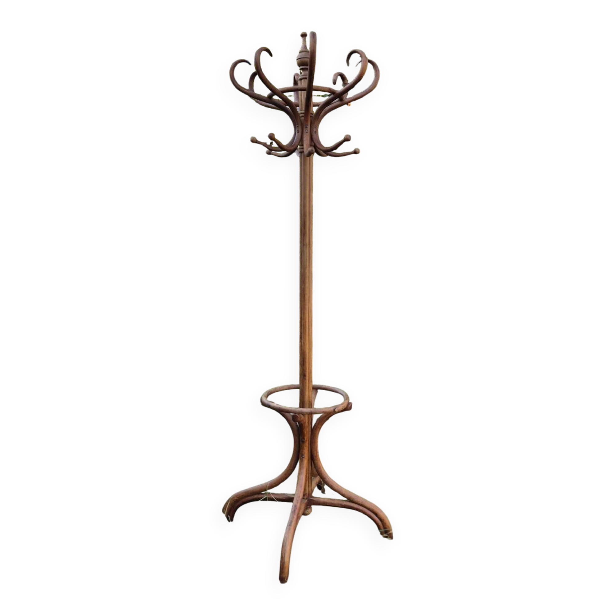 Vintage parrot coat rack in raw wood, renovated.