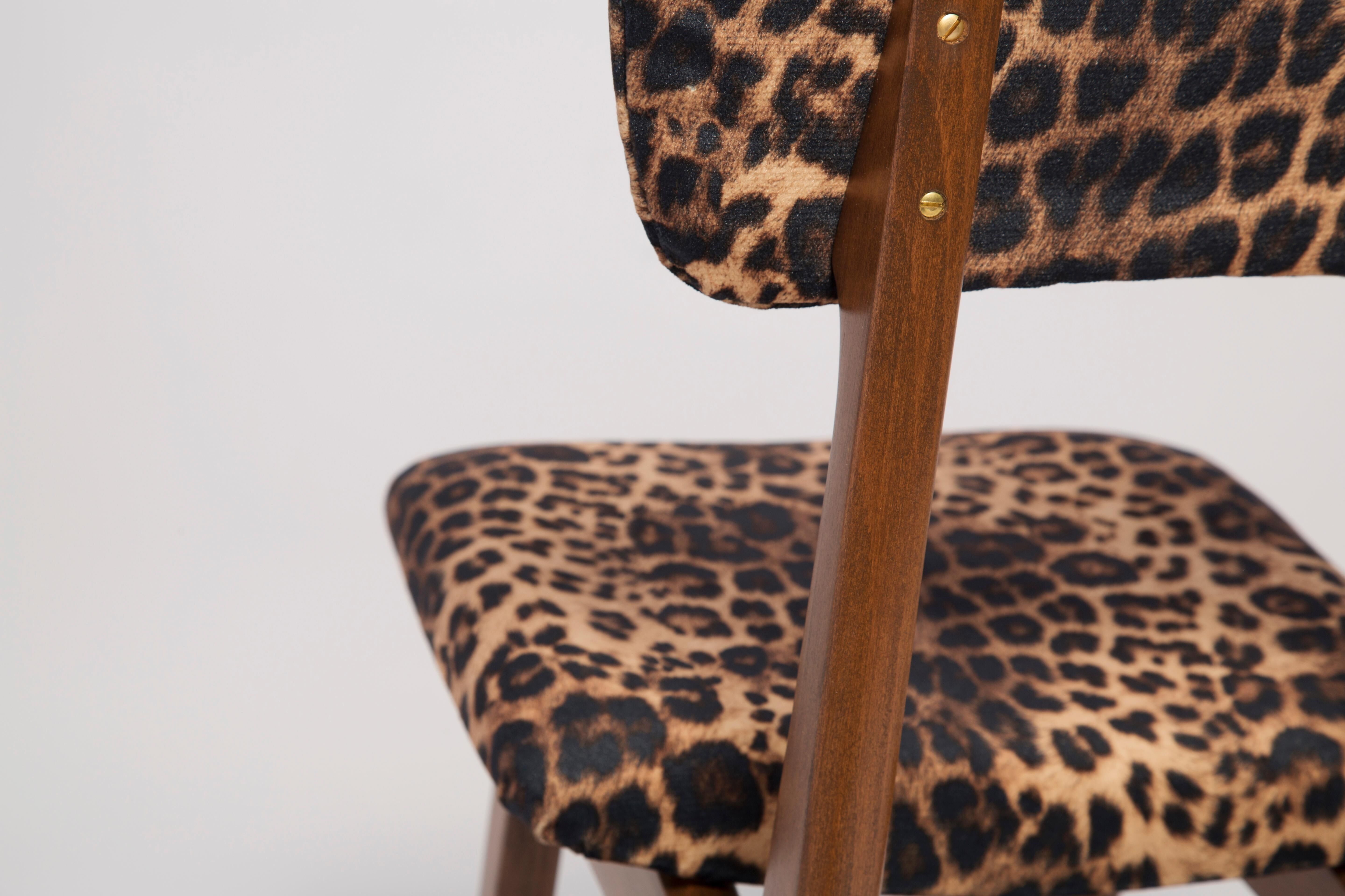 Mid-century leopard velvet chair, beech wood, Rajmund Halas, Poland, 1960s