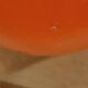 Paire de vases en verre soufflé orange