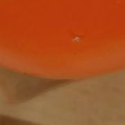 Pair of orange blown glass vases