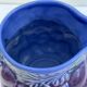 Salins purple pitcher