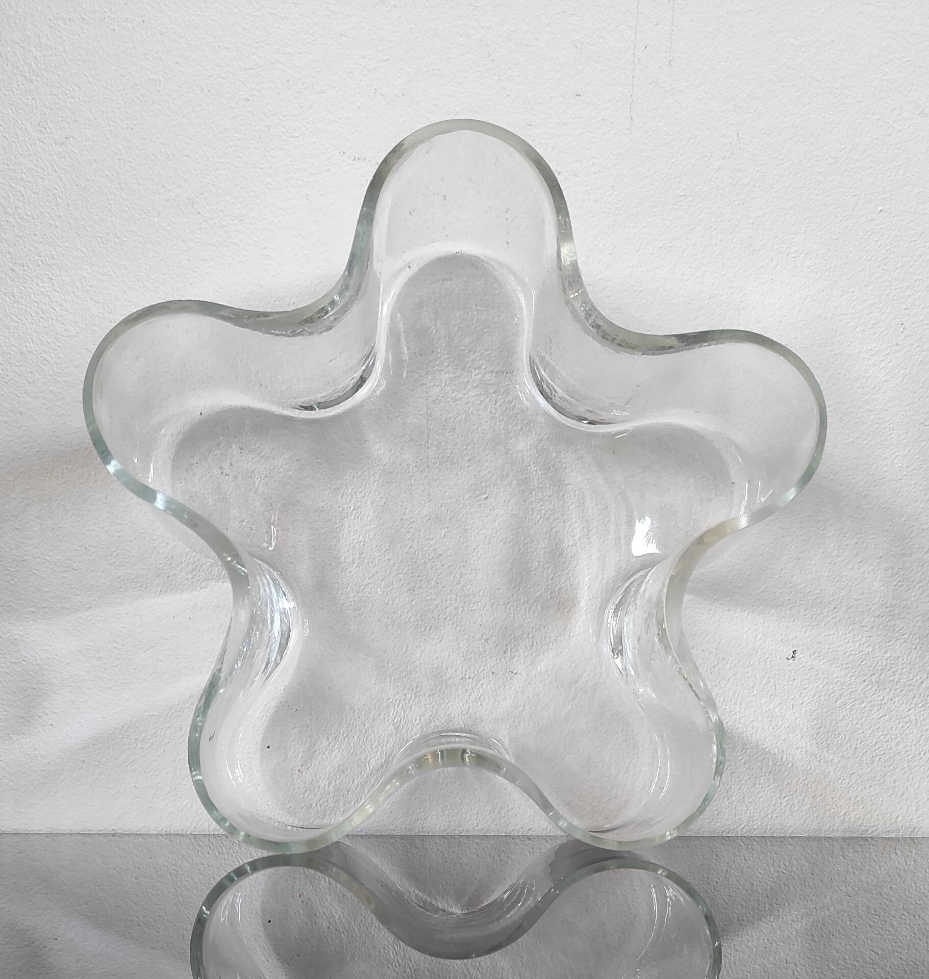 Grand vide-poche organique en verre transparent
