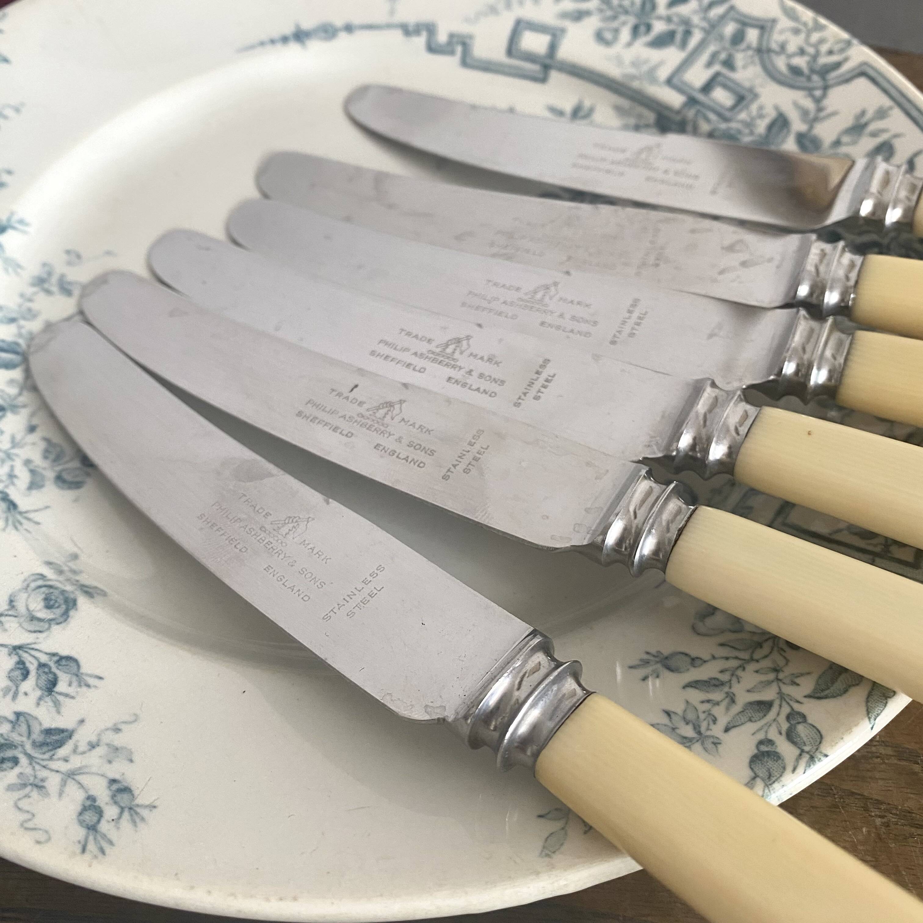 6 Philip Ashberry & Sons knives made in Sheffield England 21 cm