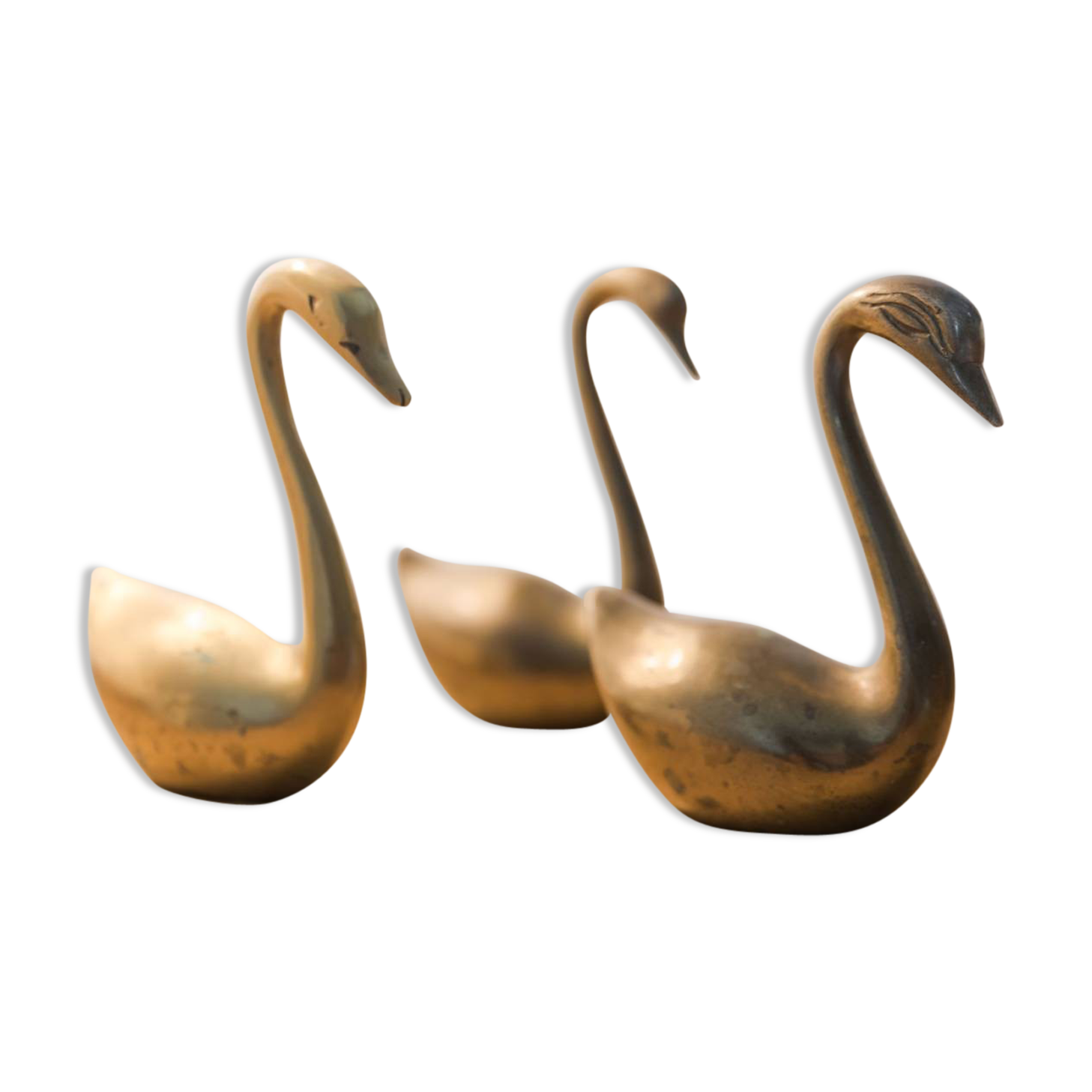 Swans brass
