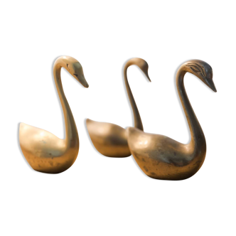 Swans brass