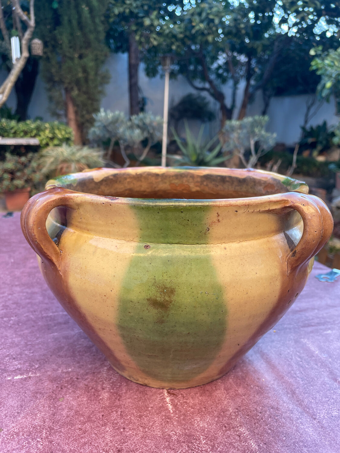 Old terracotta flower pot varnished