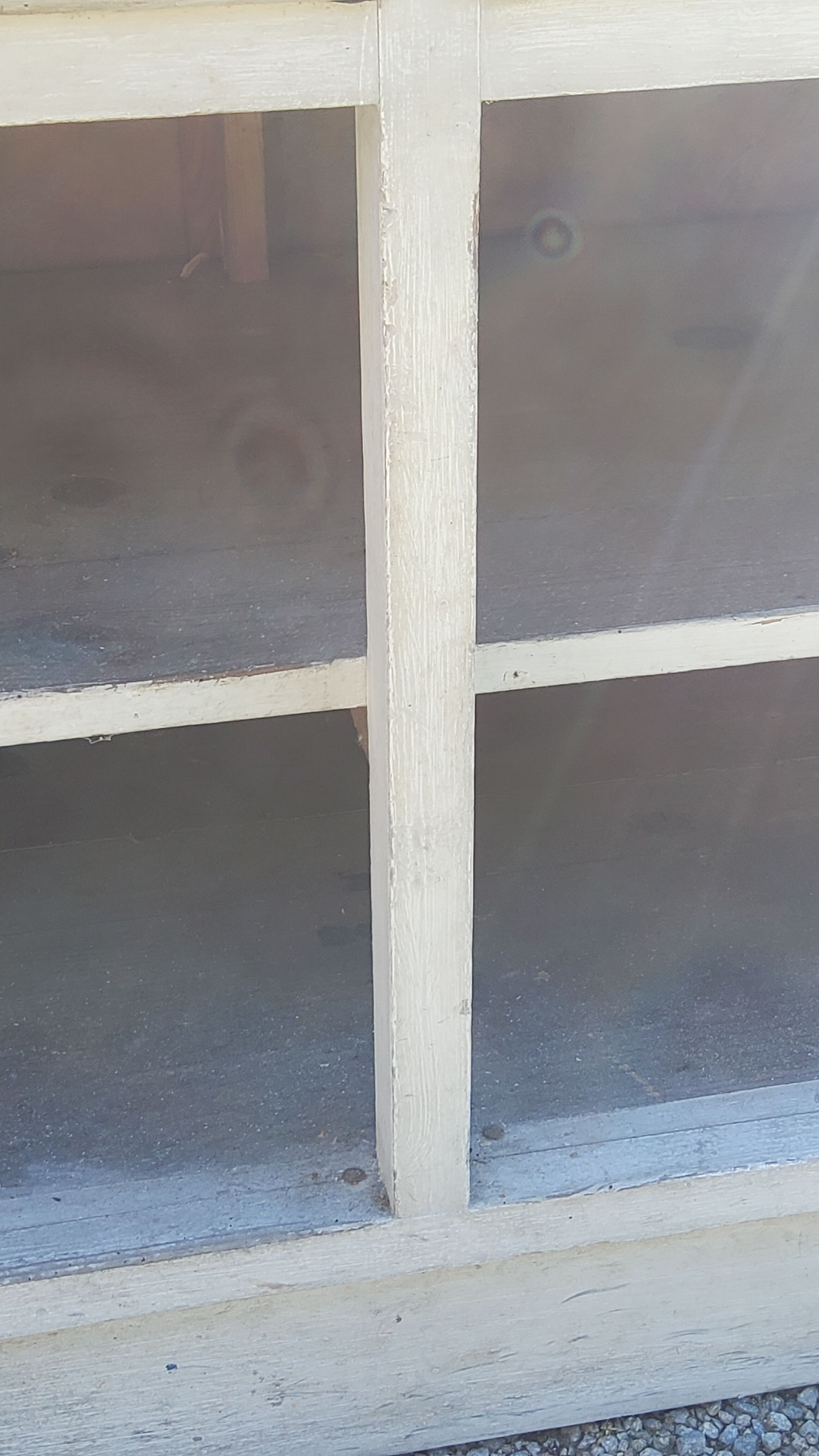 Grocery counter from the 30s