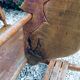 Child rocking horse wooden