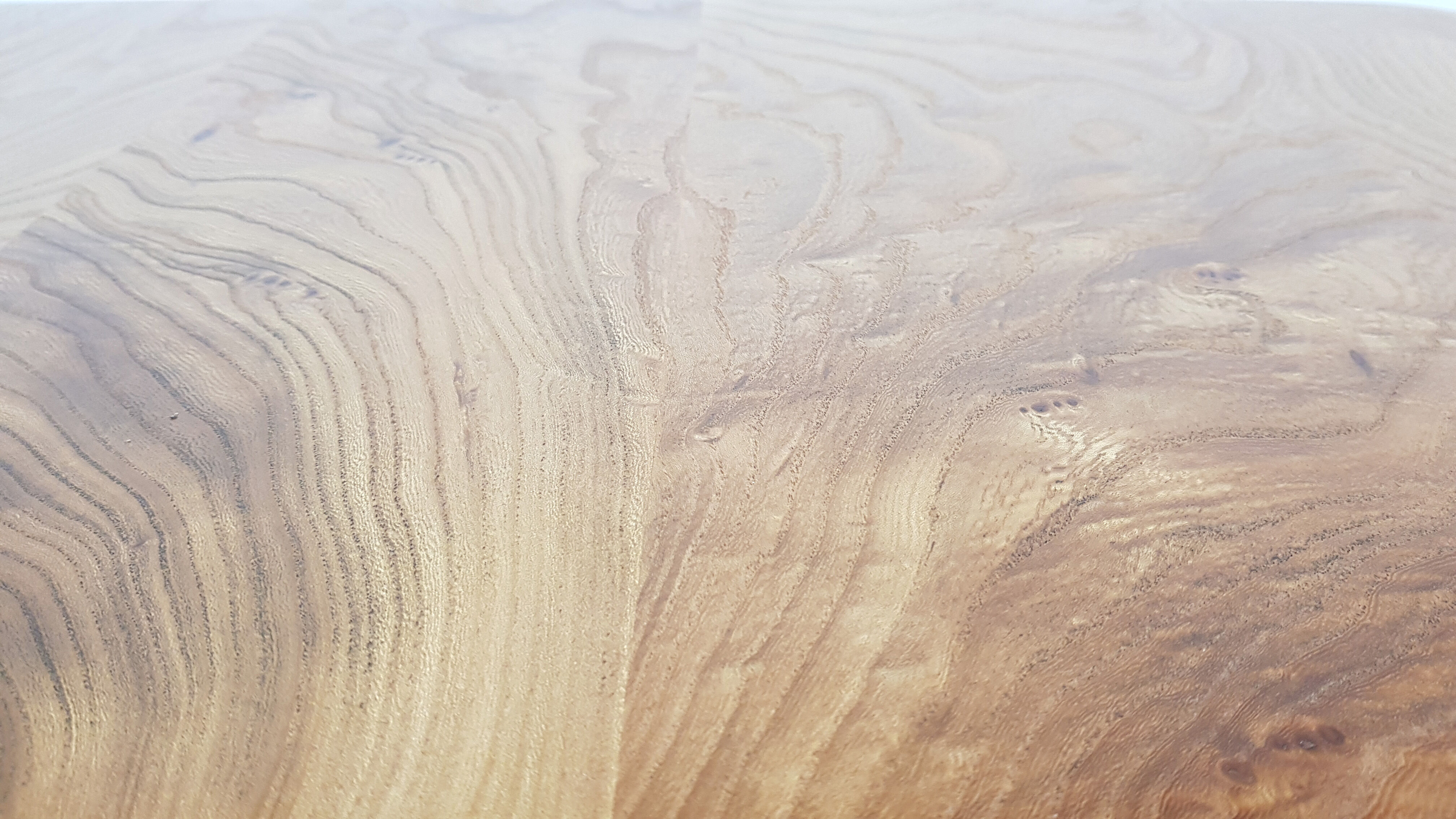 Coffee table by Lucian Ercolani for Ercol, 1960