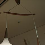 Double luminaire