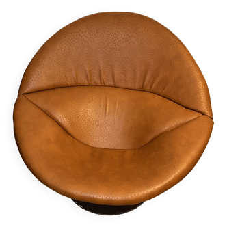 Pierre Paulin armchair