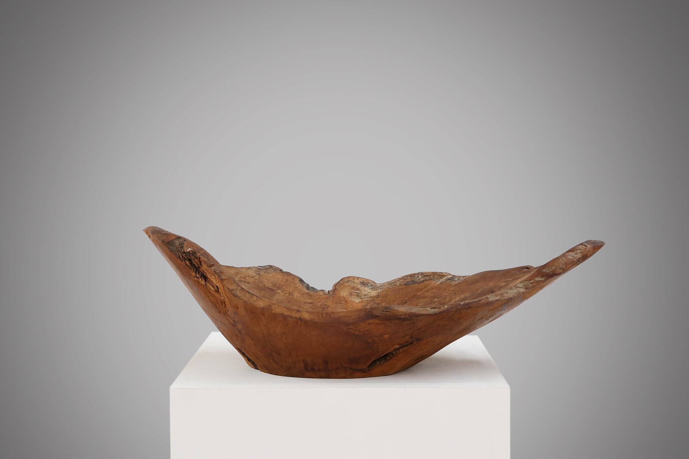 Grand bol en bois de racine organique, France, années 1950