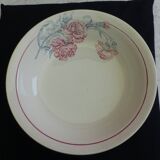 salad bowl or vegetable bowl