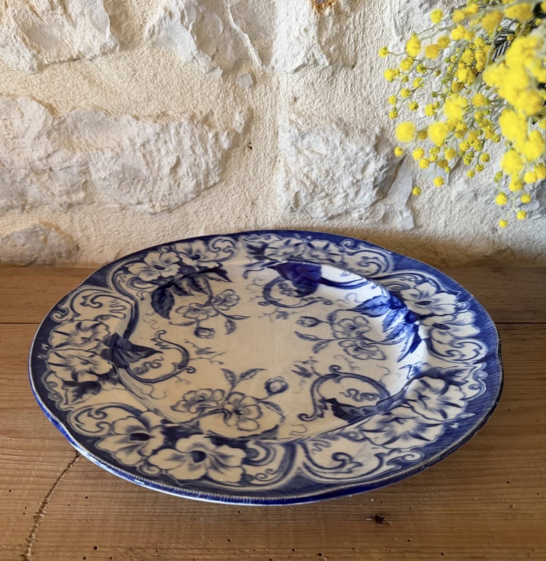 Plate Creil and Montereau in ironstone, Flora model.
