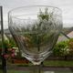 Set of 5 antique water glasses in engraved frieze glass.