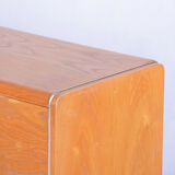 Restored Midcentury Hinged Storage Cabinet, Ash, Jitona Sobeslav, Czechia, 1950s