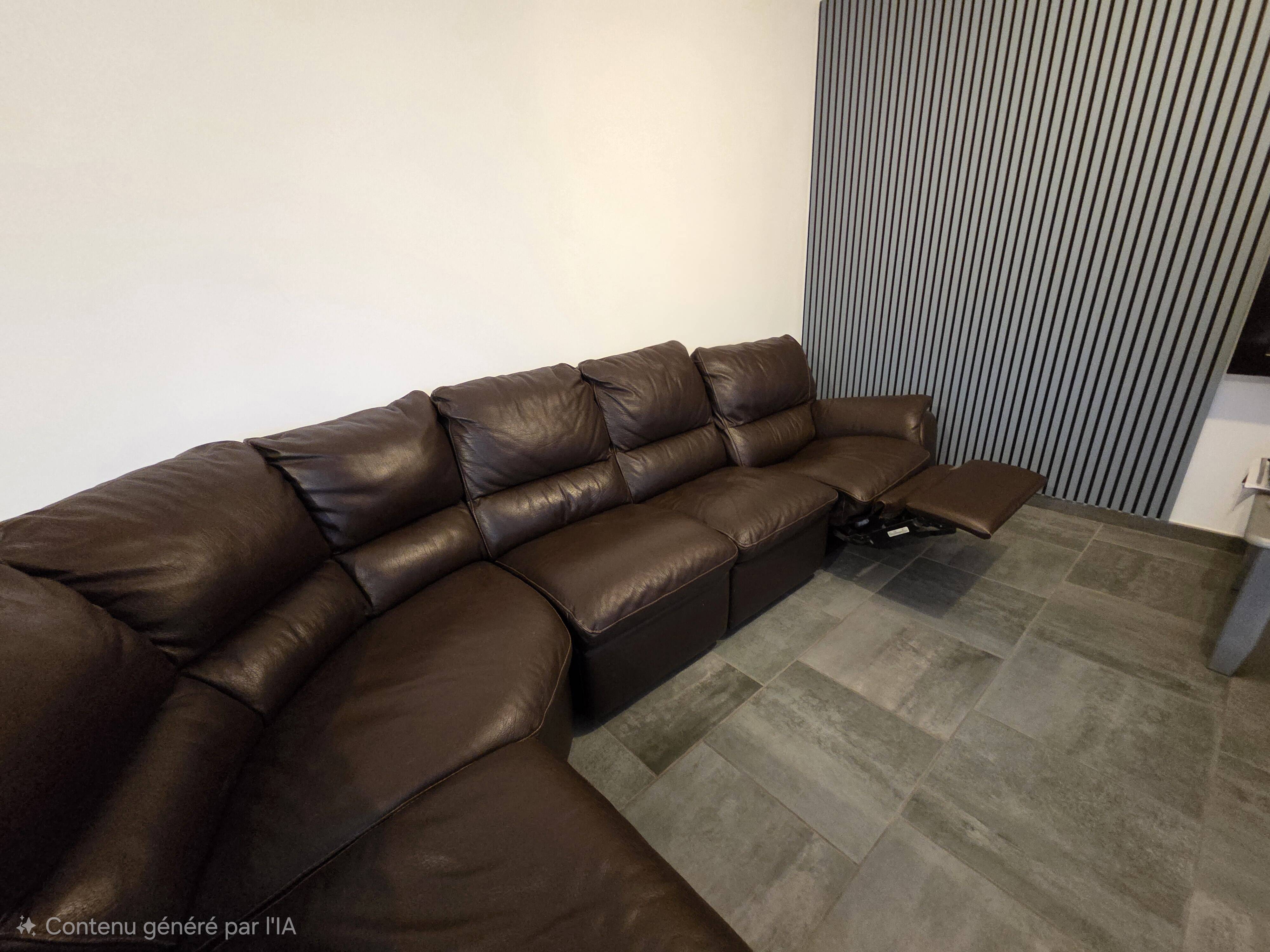 Canapé cuir Roche Bobois