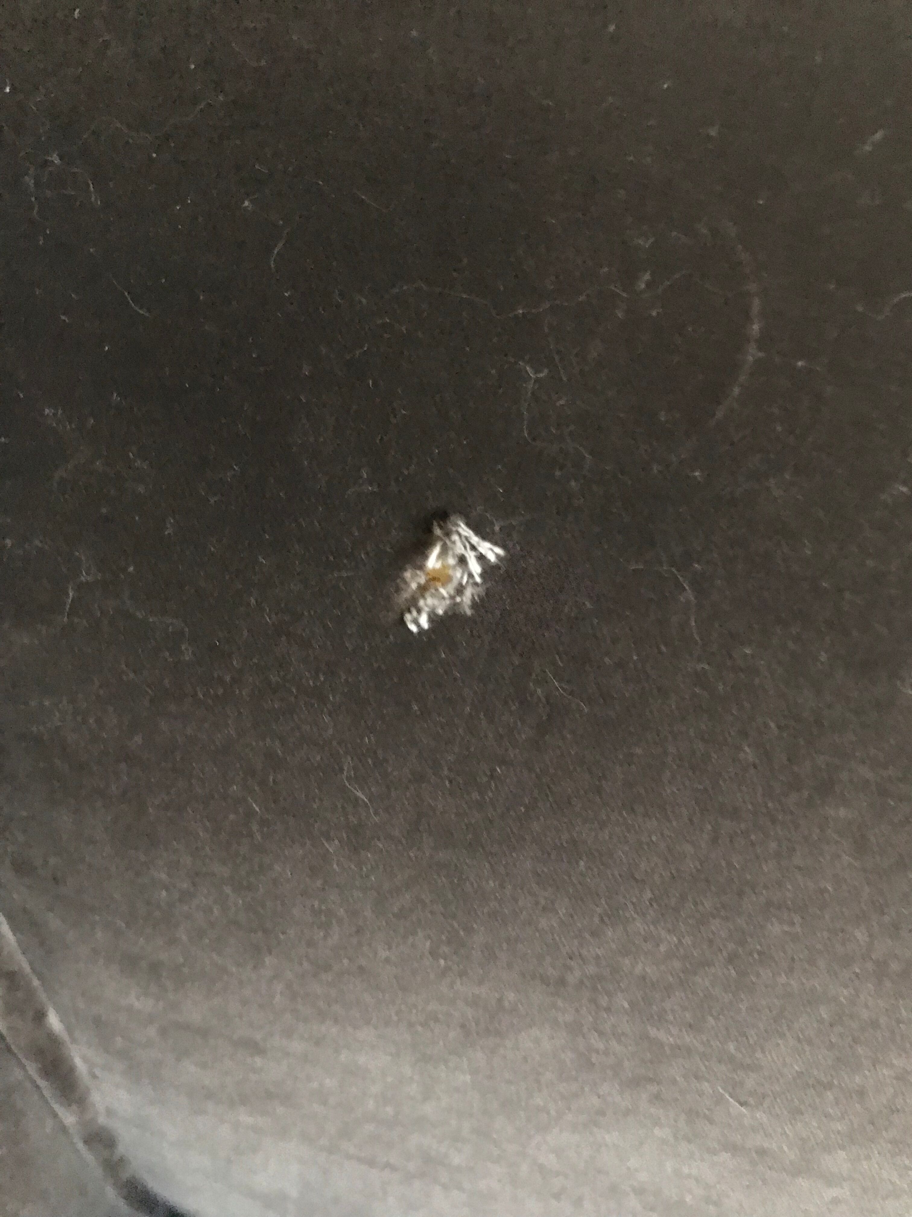 Grey velvet sofa ka international