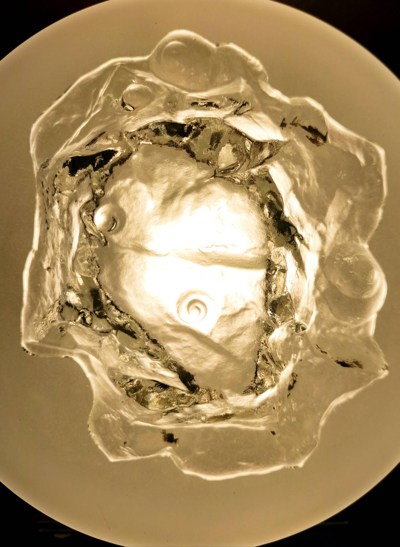 Snail-shaped pocket bowl / Fossil Jolanda Prinsen Walther Glass