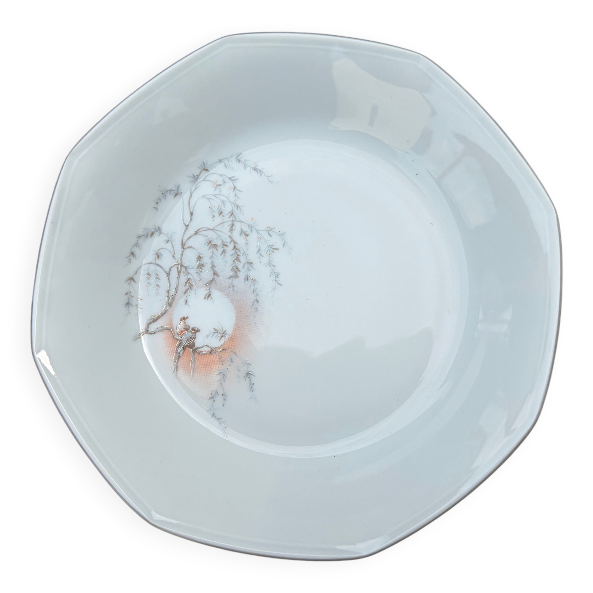 Set of 12 deep porcelain plates from Sologne.