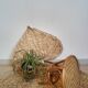Plant holder in rattan and vintage bamboo