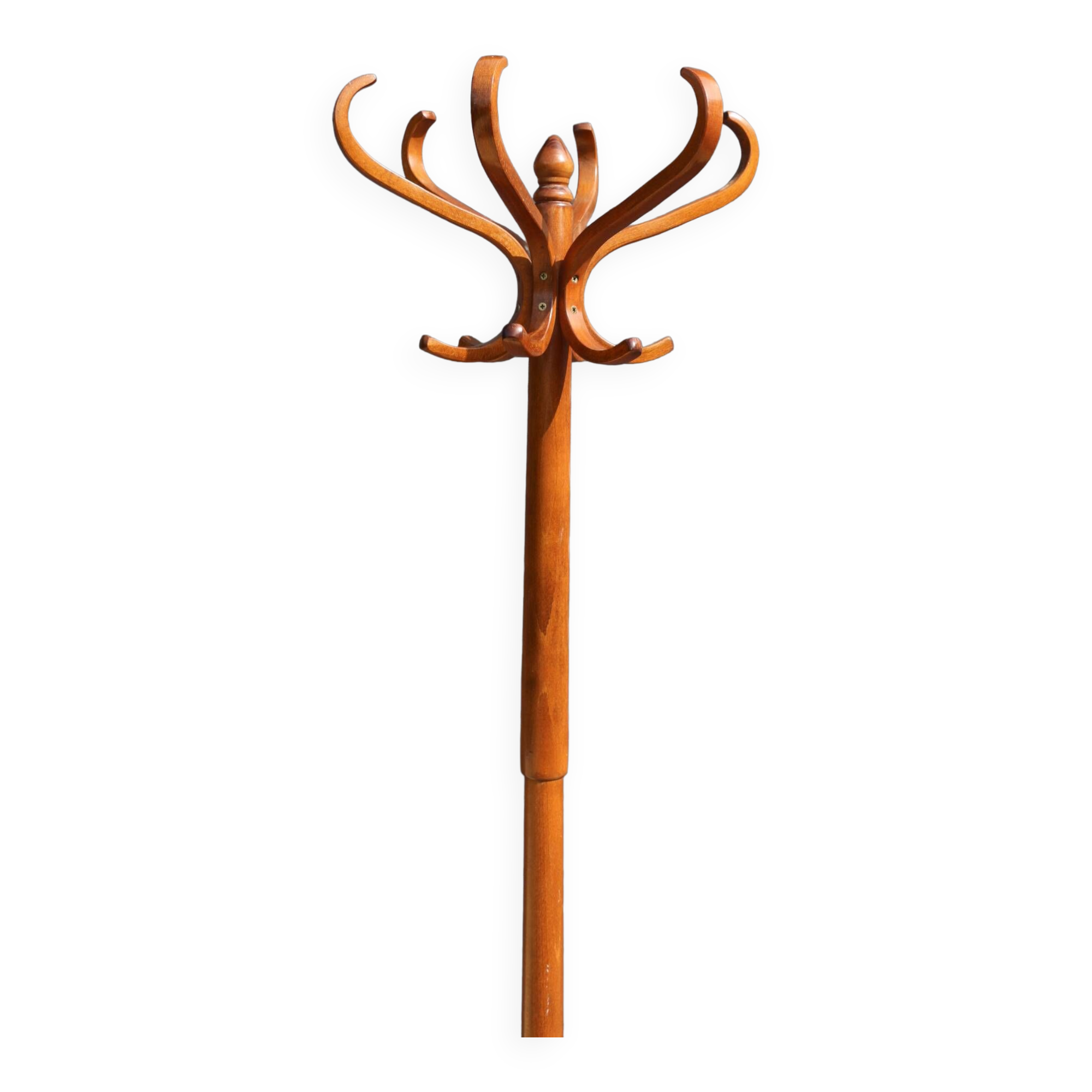 Baumann parrot coat rack in beech