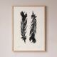 Tirage d'art Plumes Noires 50x70 par  Eawy