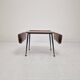 Italian Mid-Century Modern Coffee Table with Magazine Racks, 1950s