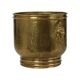 Large Hammered Brass Jardinière/Planter with Lion Heads