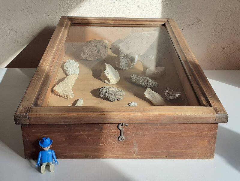 Old sloping pine display case