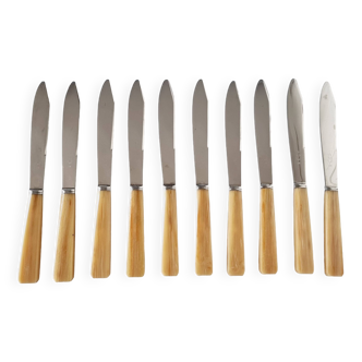 10 table or lunch knives in stainless steel and Messina from the 70s New