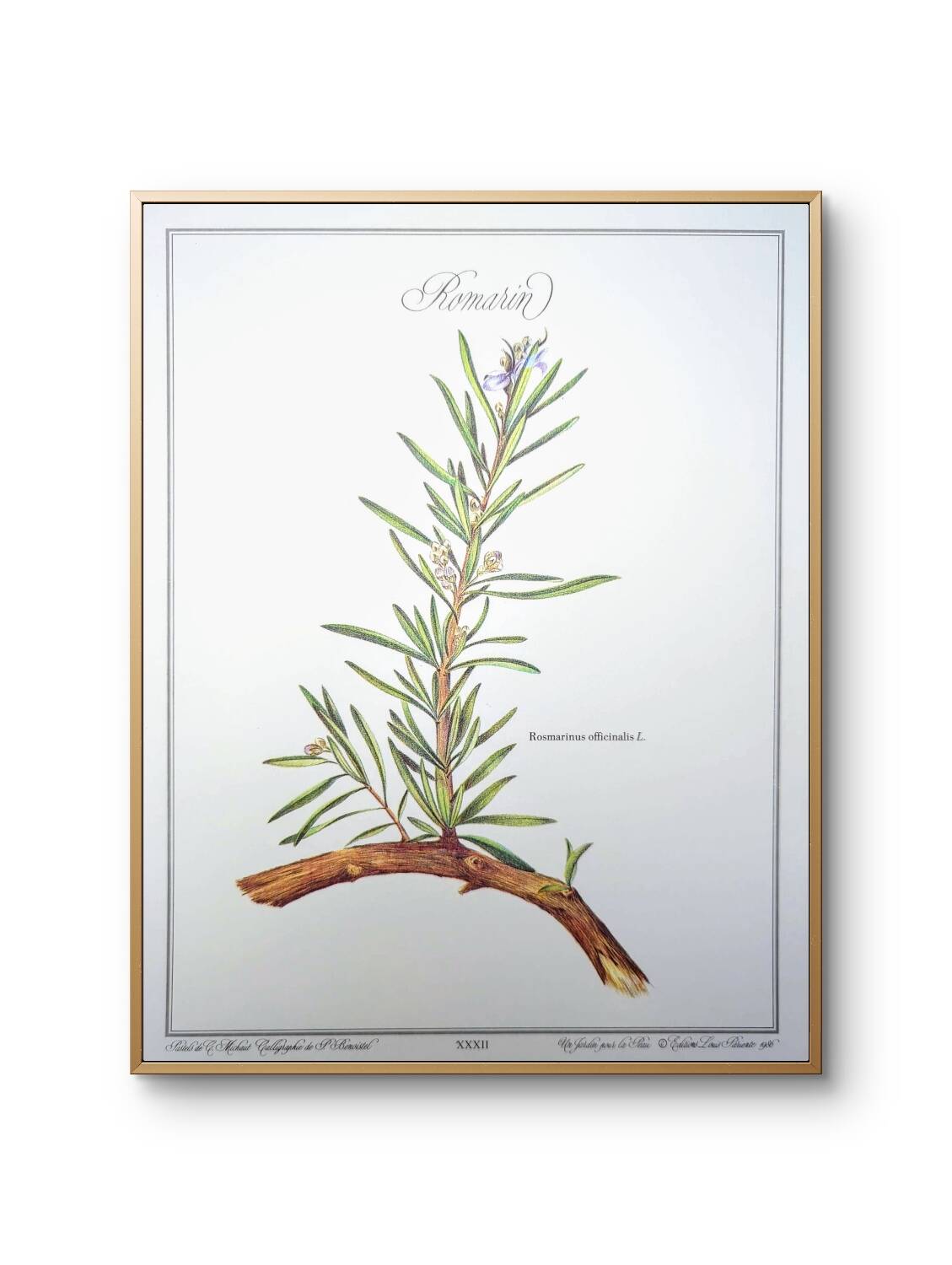 Printed in 1986, Le Romarin.