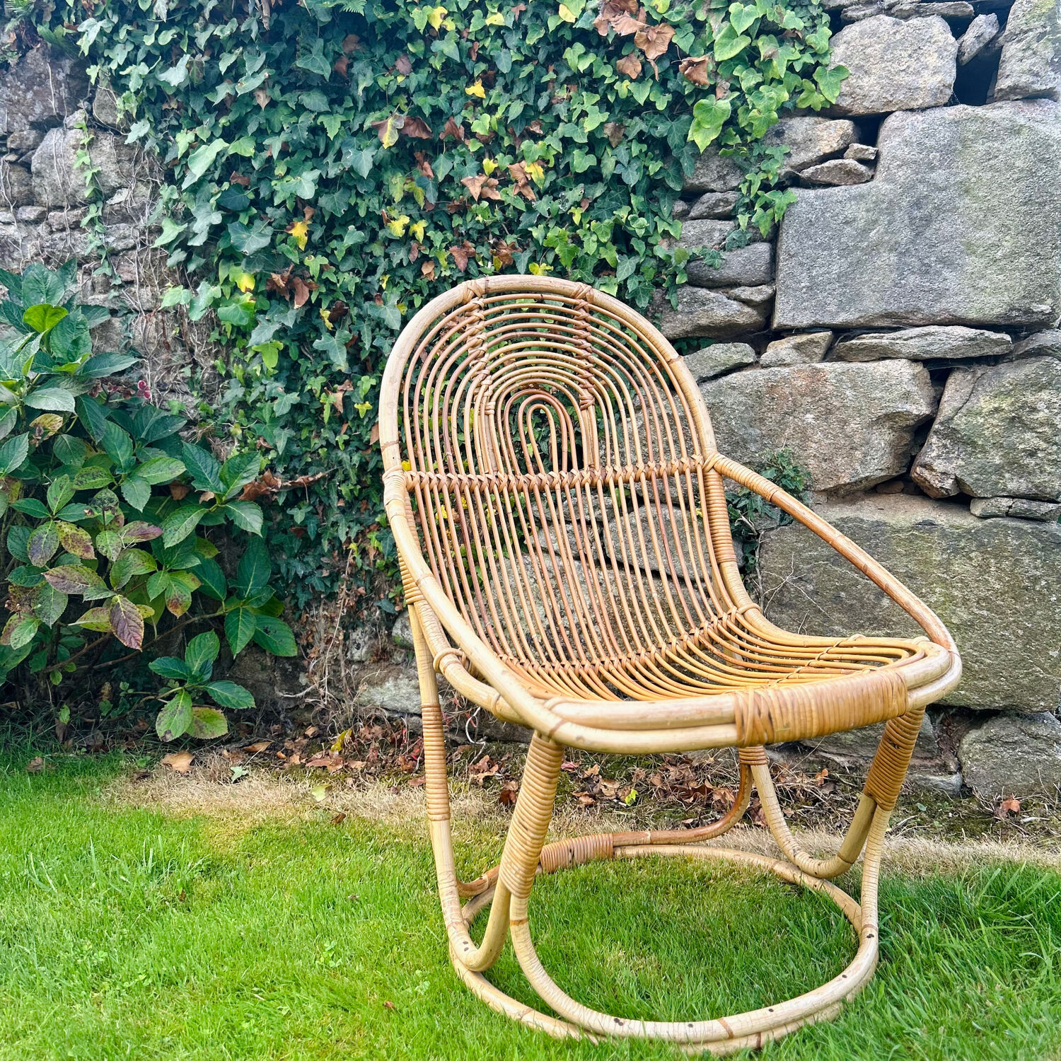 Designer rattan armchair