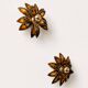Jansen flower appliqués