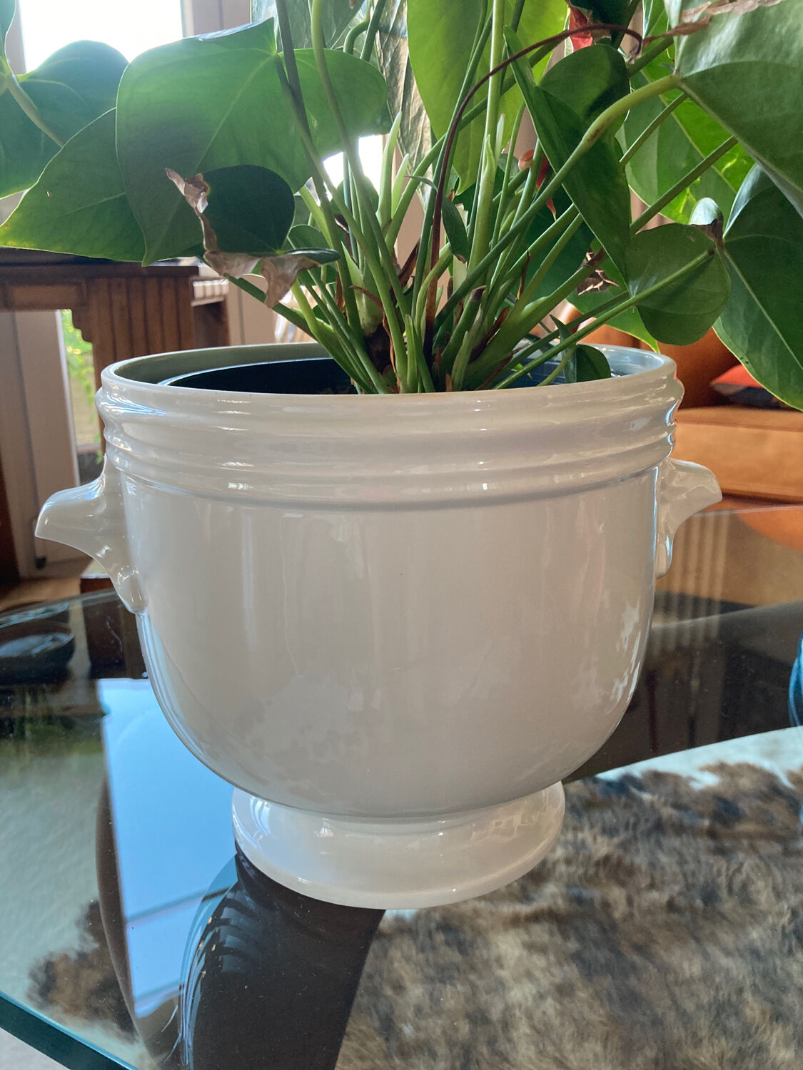 White porcelain pot cover