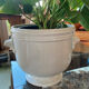 White porcelain pot cover