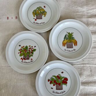 4 vintage porcelain dessert plates and fruit illustrations with green edging