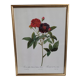 Lithograph under frame Rosier Van Eeden