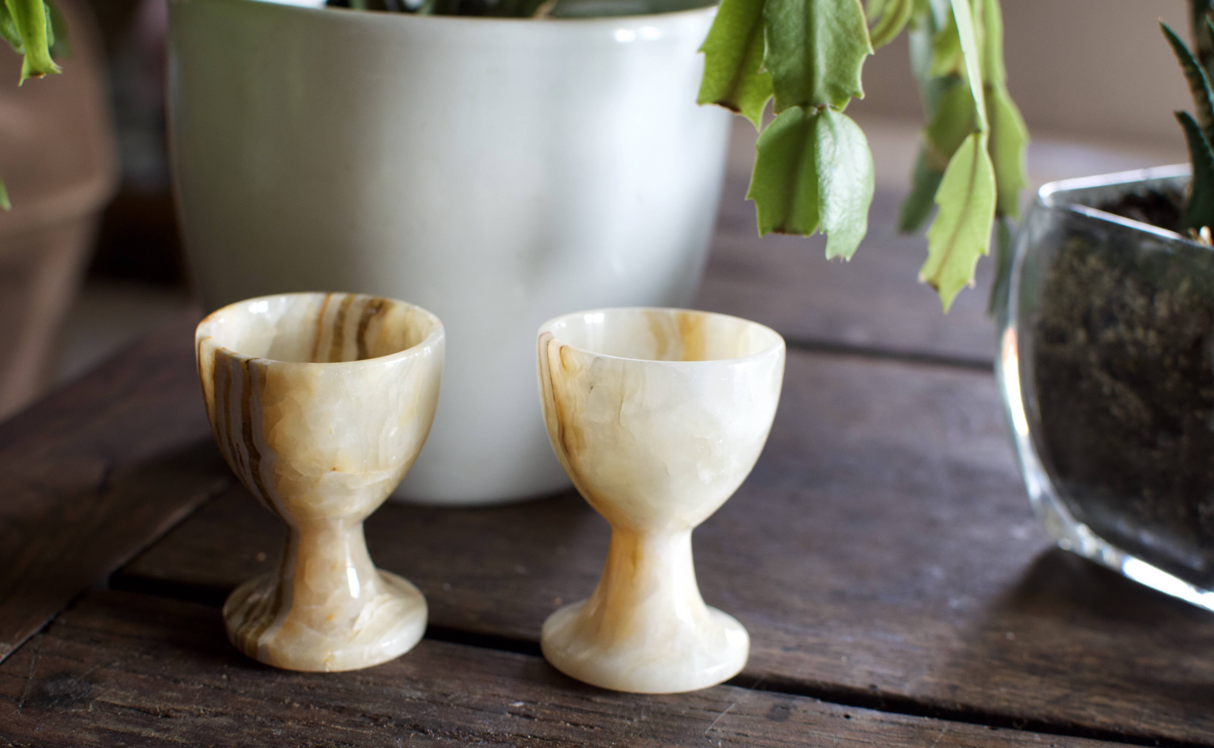 Duo of marble cockroaches