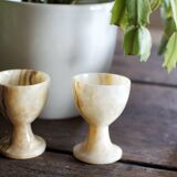 Duo of marble cockroaches