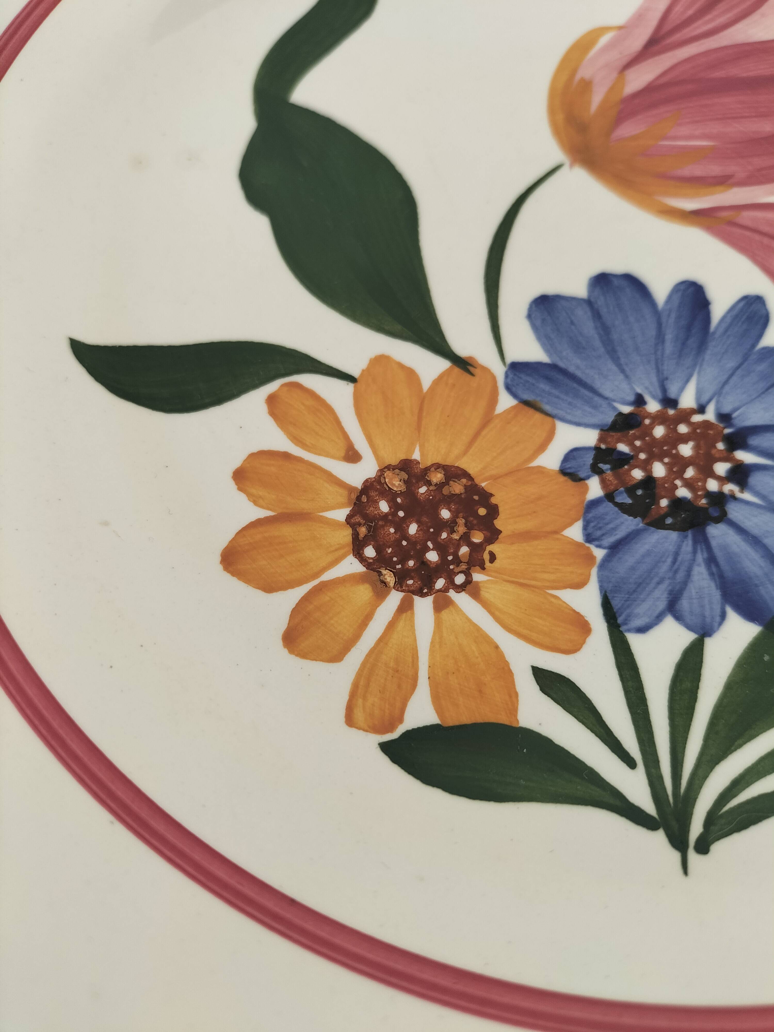 Sarreguemines ironstone plate, Selestat model