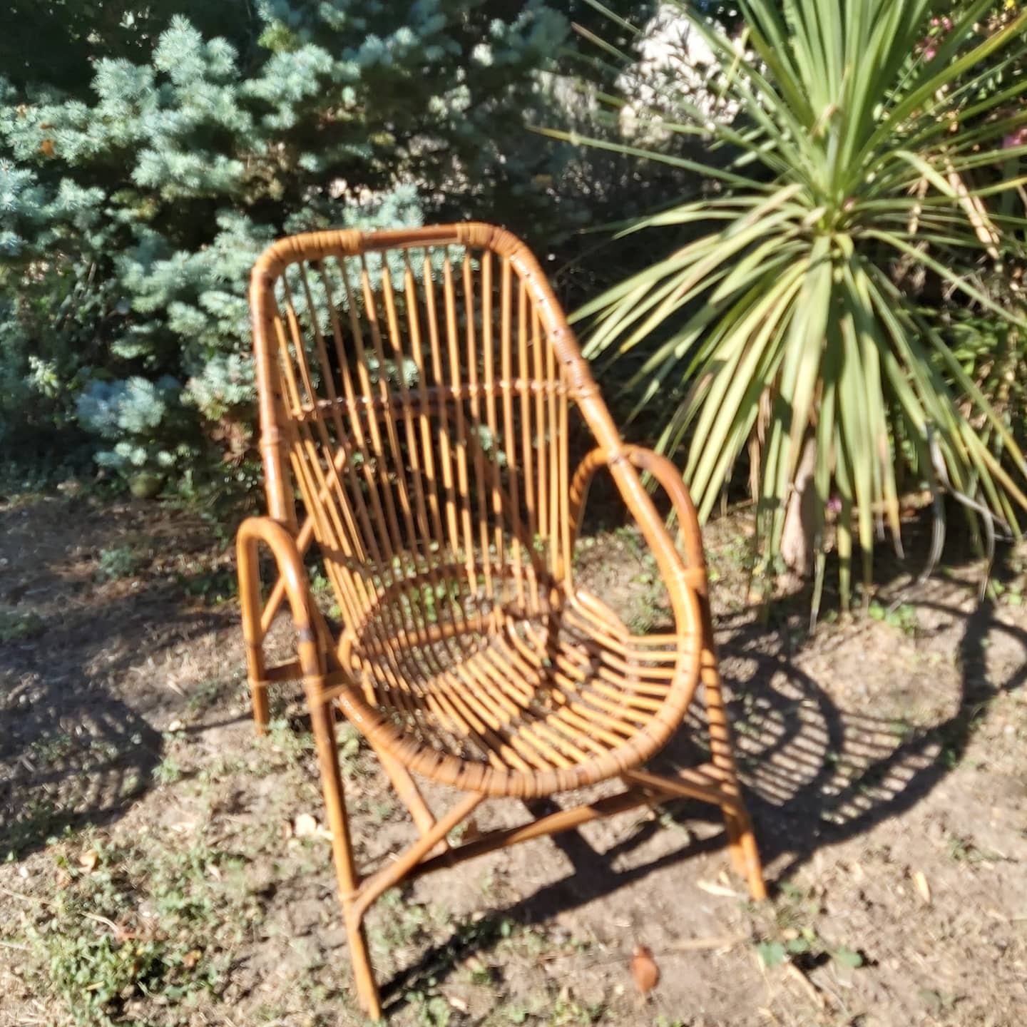 Vintage rattan armchair