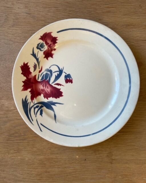 Flat plate Luneville model Annie