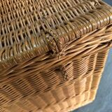 Wicker trunk