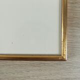 Framed botanical illustration - hawthorn &co