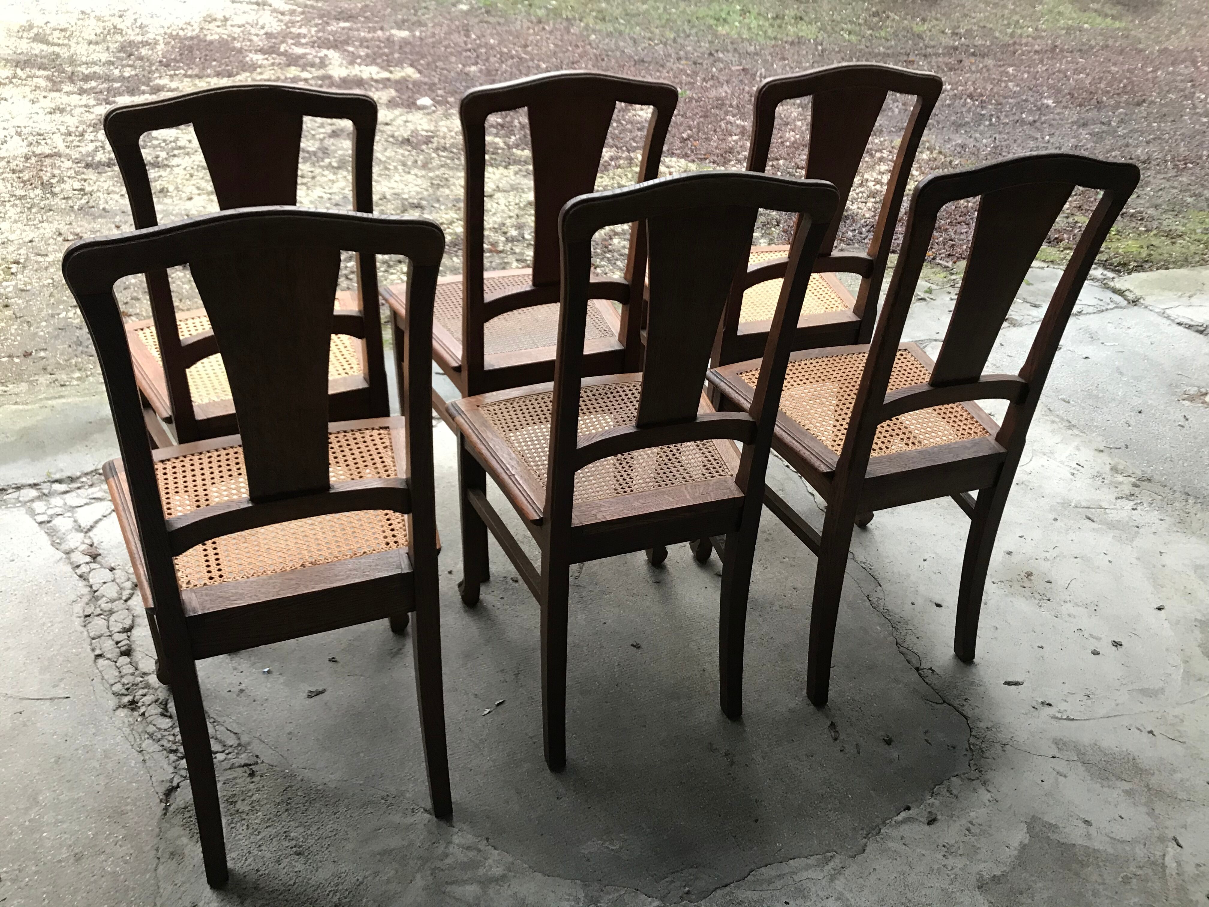Suite of 6 chairs oak canage art nouveau