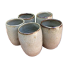 5 sandstone shooter glasses