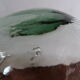 Wig blown glass vintage 60/70