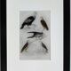 Original ornithological plate "Condor - Buzzard - Kite - &c..." Buffon 1836